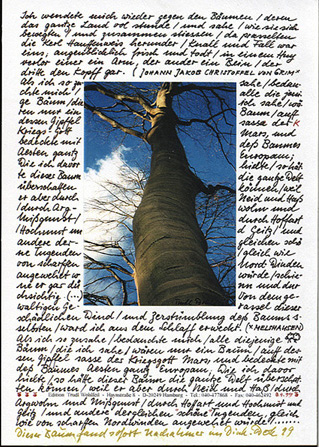 Postkartenaktion "Baum"