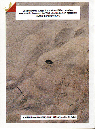 Postkartenaktion zugunsten St.Petri,1999